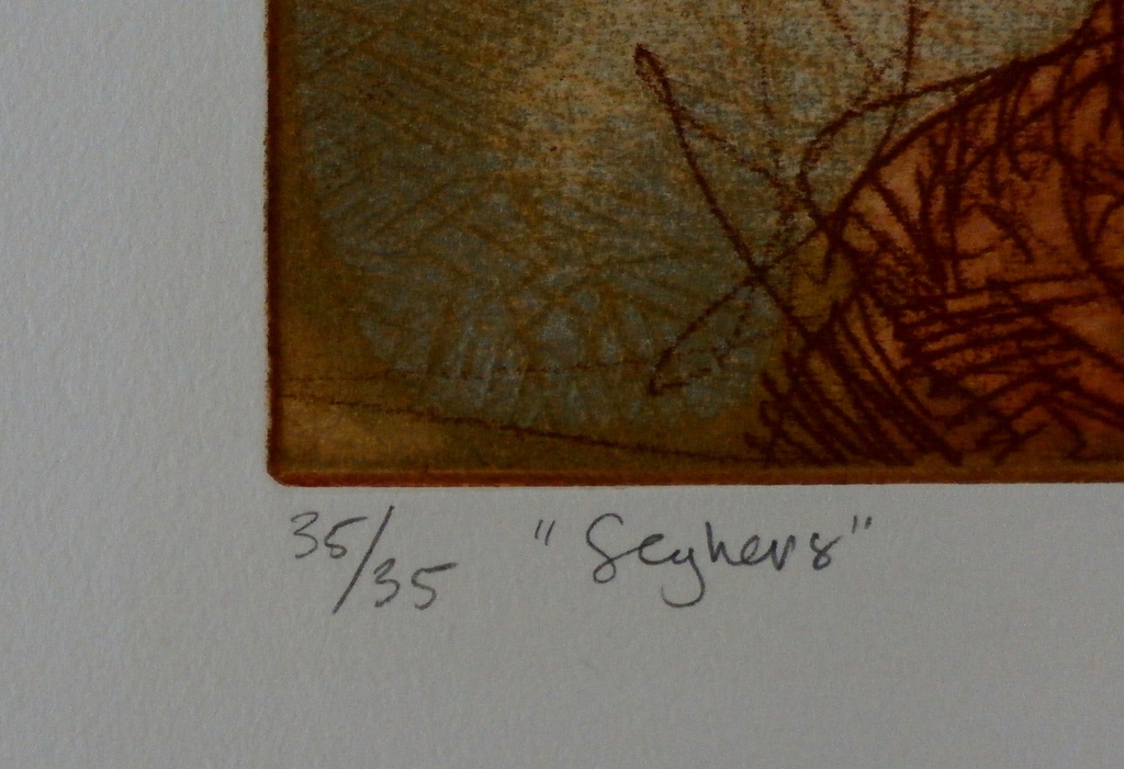 Ronald Tolman - ets: Seghers - 1991 kopen? Bied vanaf 85!