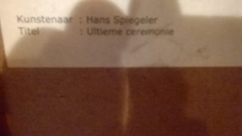 Hans Spiegeler: Zeefdruk, Ultieme Ceremonie kopen? Bied vanaf 100!