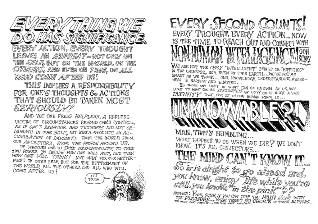 Robert Crumb kopen? Bied vanaf 1!