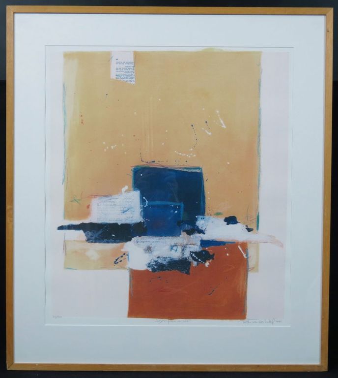 Ron van der Werf: Zeefdruk, Symfonie II - Ingelijst kopen? Bied vanaf 50!