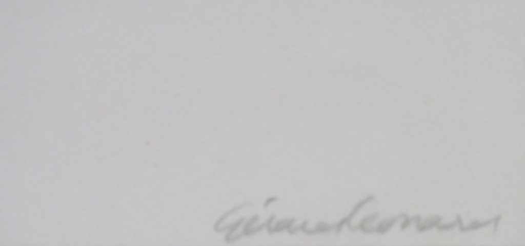Gerard Leonard van den Eerenbeemt: Zeefdruk, Compositie met rood blauw kopen? Bied vanaf 20!