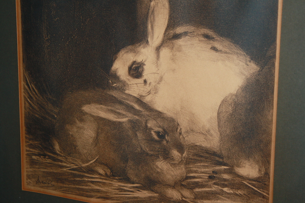 Theo Dijkwel - LITHO KONIJNEN kopen? Bied vanaf 39!