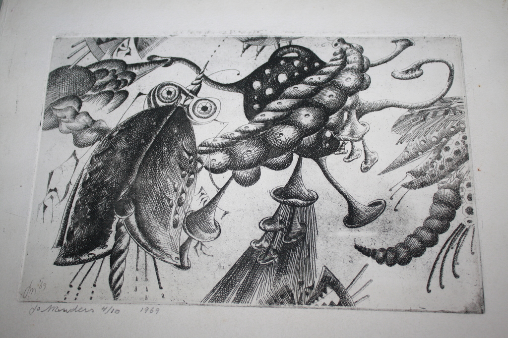 Jo Manders uit HELMOND ETS INSEKTEN + ORGINELE ETSPLAAT verkocht voor € 50!