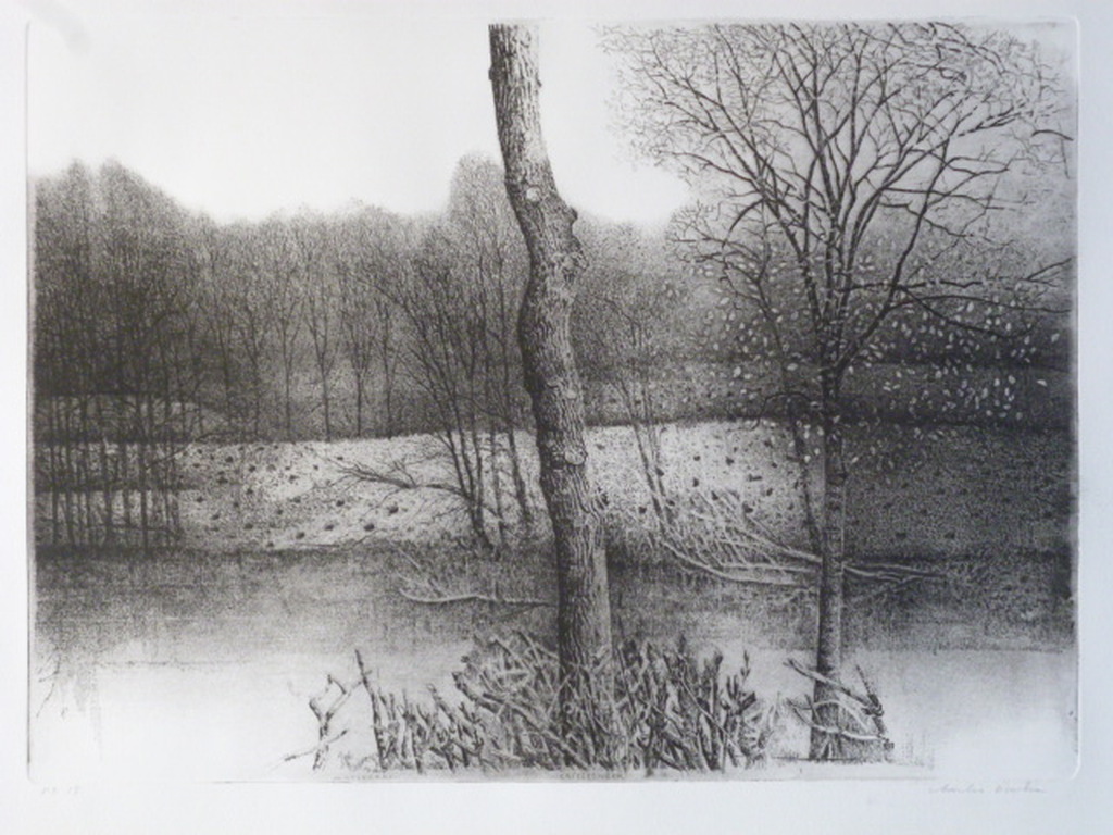 Charles Donker - ets - "Waterraaf"en "Tafeleenden" verkocht voor € 160!