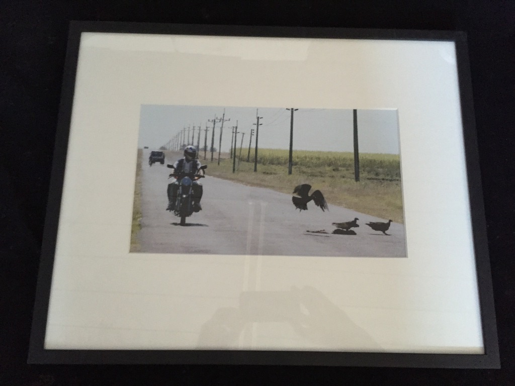 NICO KOSTER  CUBA CORNEILLE kopen? Bied vanaf 1!