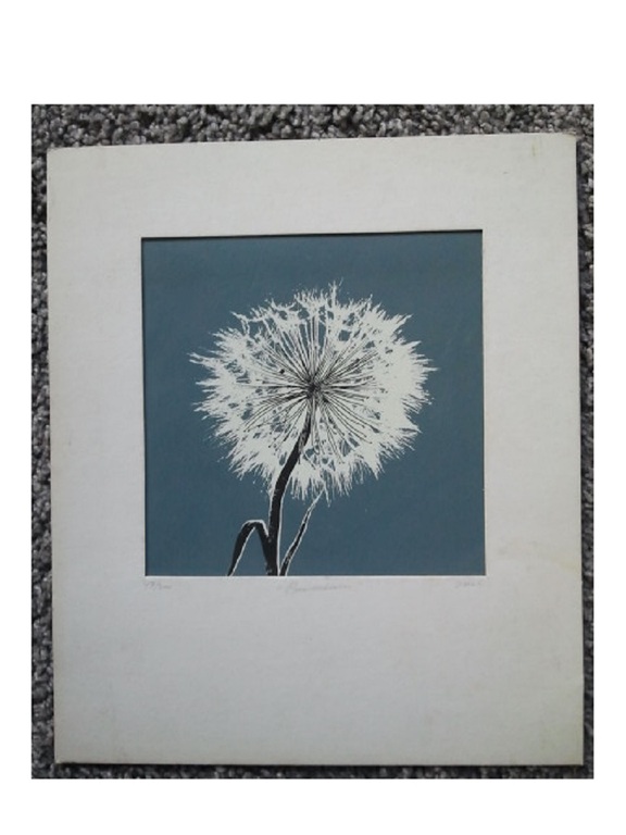 Ray Daal de paardenbloem  kopen? Bied vanaf 1!