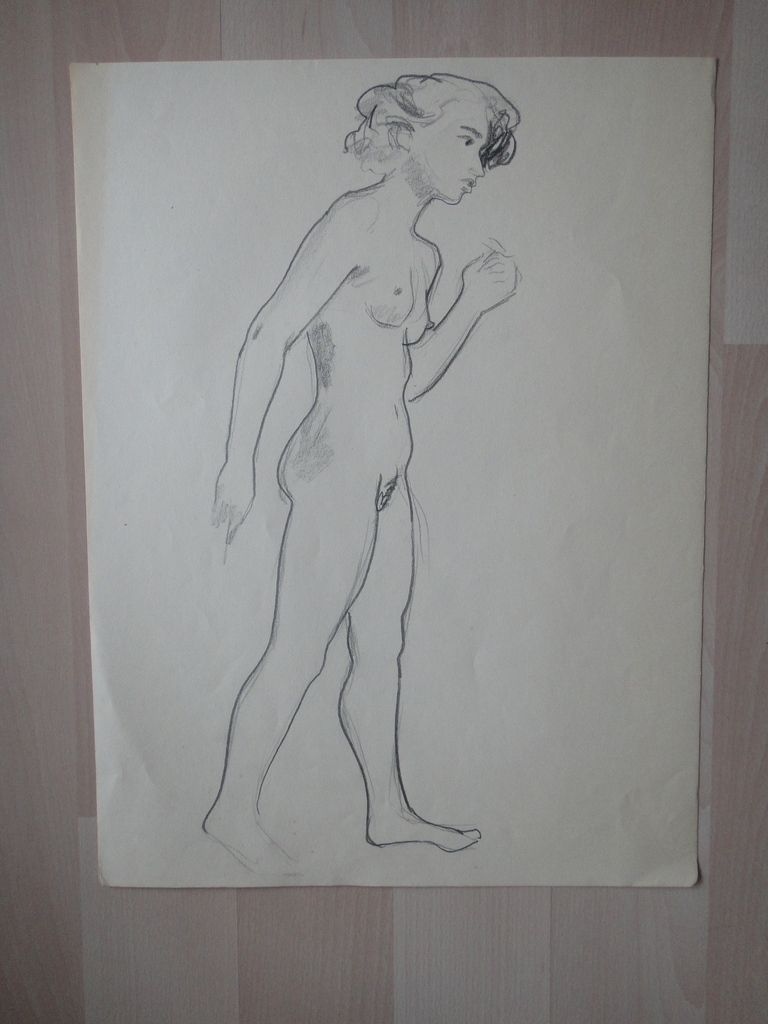 Flip Hamers, tekening, portret van naakte vrouw kopen? Bied vanaf 1!