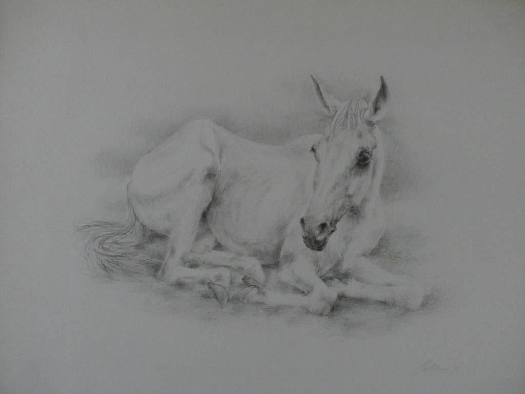 Piet Klaasse - Litho - 1973 verkocht voor € 45!