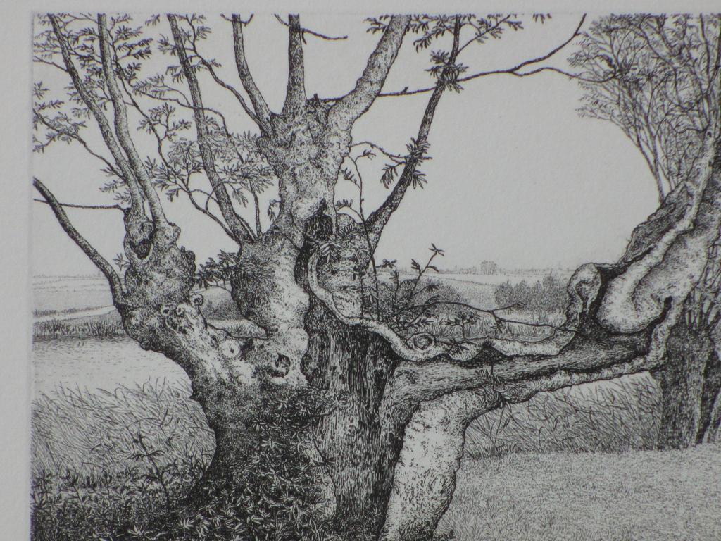 Reinder Homan, Knotwilgen in landschap, Ets kopen? Bied vanaf 1!