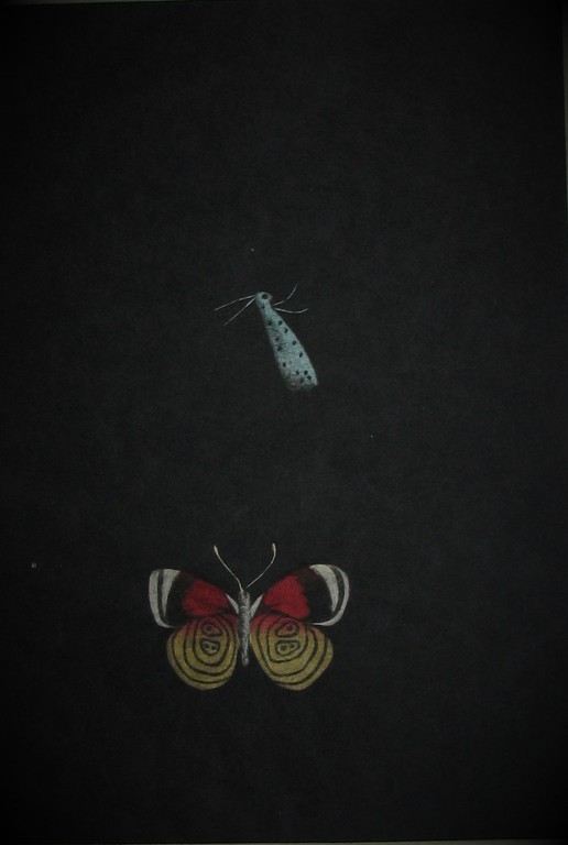 Tomoe YOKOI, "Twee vlinders", schitterende kleurets, genummerd en gesigneerd kopen? Bied vanaf 25!