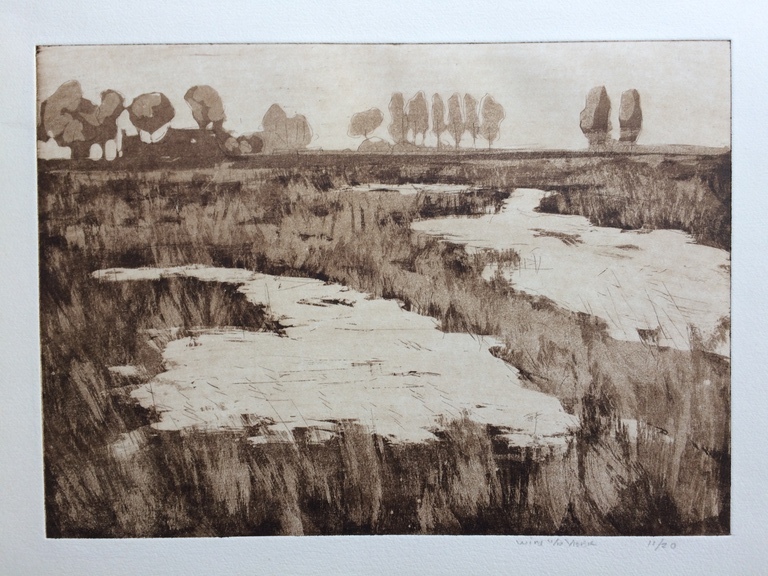 Wim van der Veer, aquatint, natuurgebied met bomen, omstreeks 1985-1990 kopen? Bied vanaf 1!