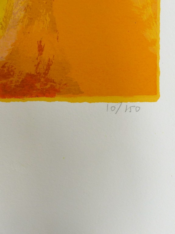 Charlotte molenkamp,zeefdruk op papier,vogel in geel kopen? Bied vanaf 100!