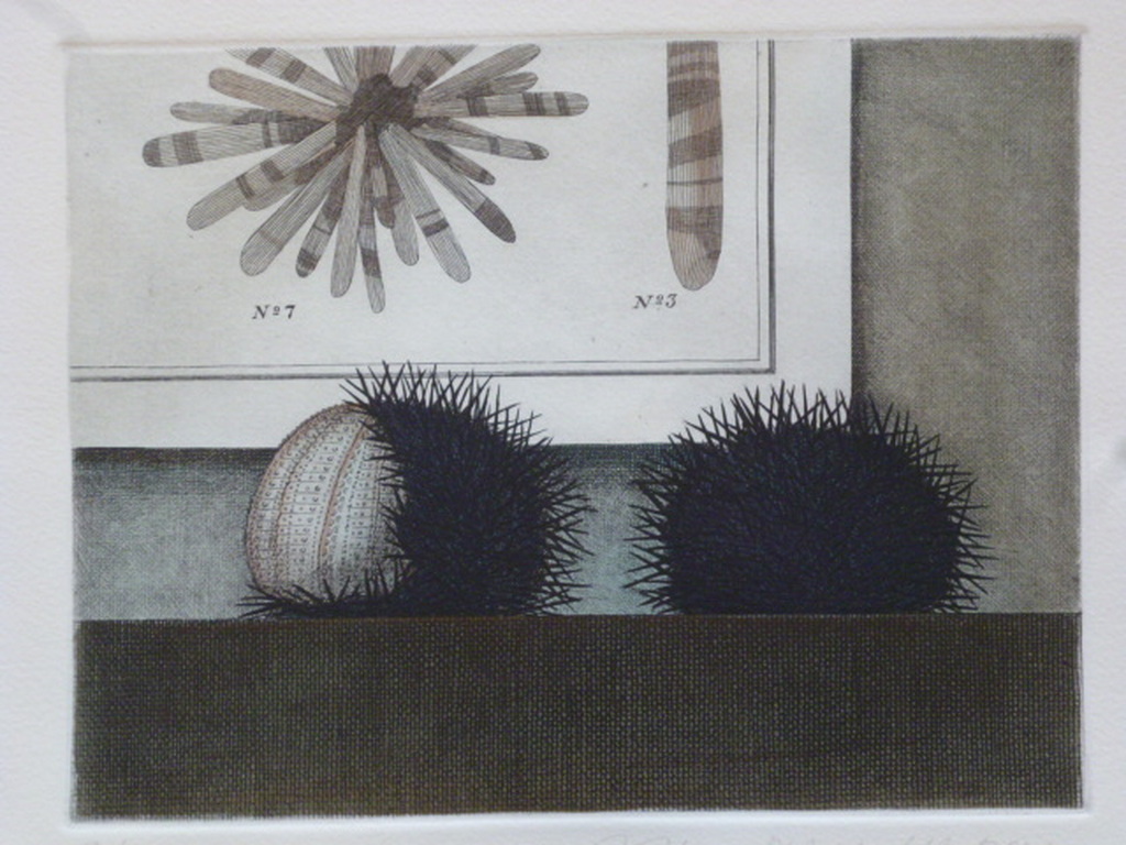 Jean Paul Vroom - ets - Twee vruchten met stekels kopen? Bied vanaf 25!