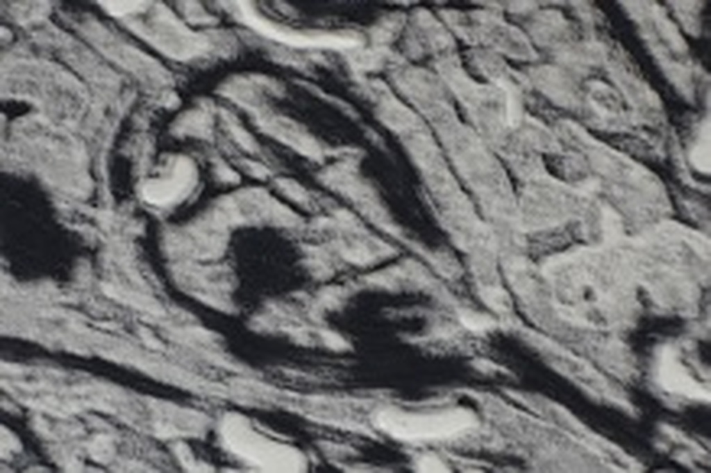 Henc van Maarseveen, ets in reliefdruk met aquatint, 1963. kopen? Bied vanaf 10!