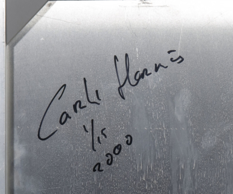 Carli Hermes: Foto op aluminium, Z.T. kopen? Bied vanaf 225!