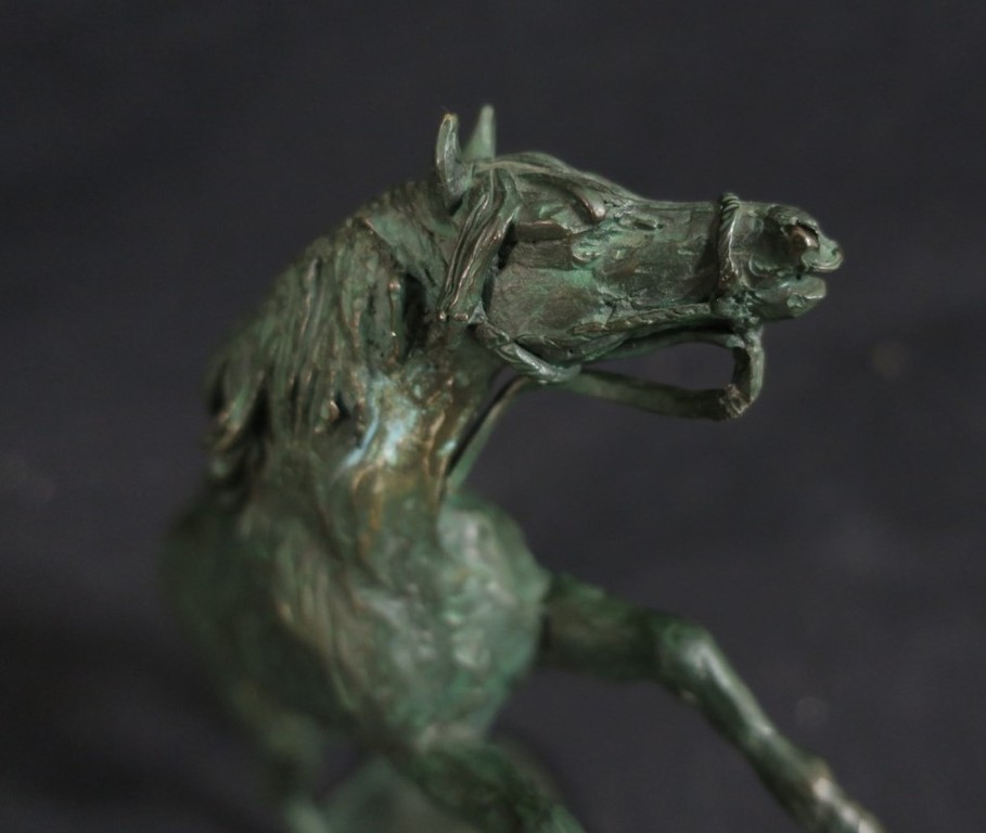 Onbekend gesigneerd: Gepatineerd brons, Steigerend paard kopen? Bied vanaf 1!