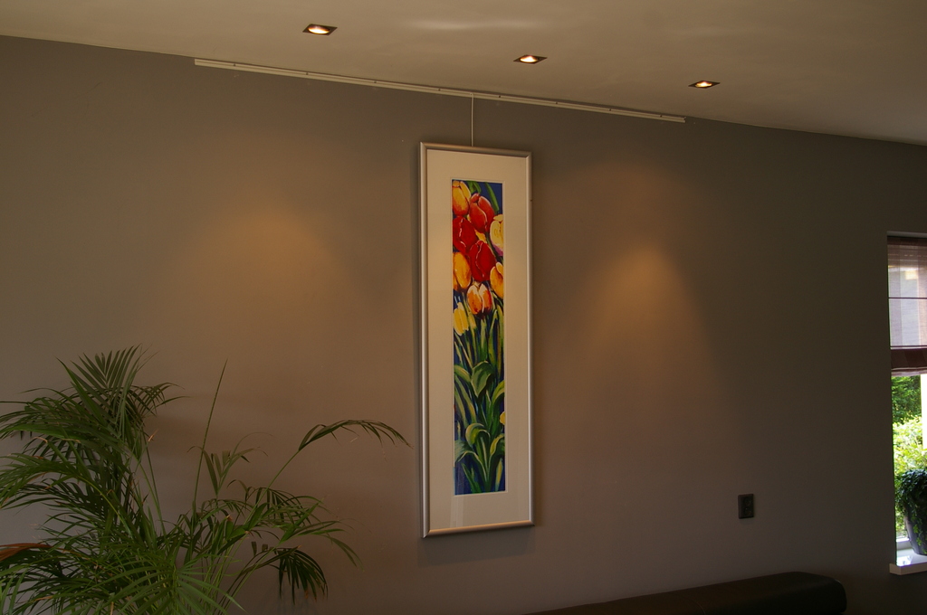Tulpen - kleurenzeefdruk - oplage 150 verkocht voor € 100!