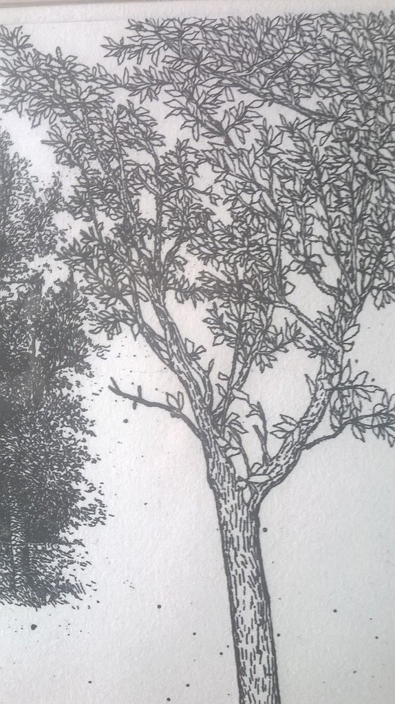 Kees Stoop, Geen titel  Ets, genummerd  kopen? Bied vanaf 25!