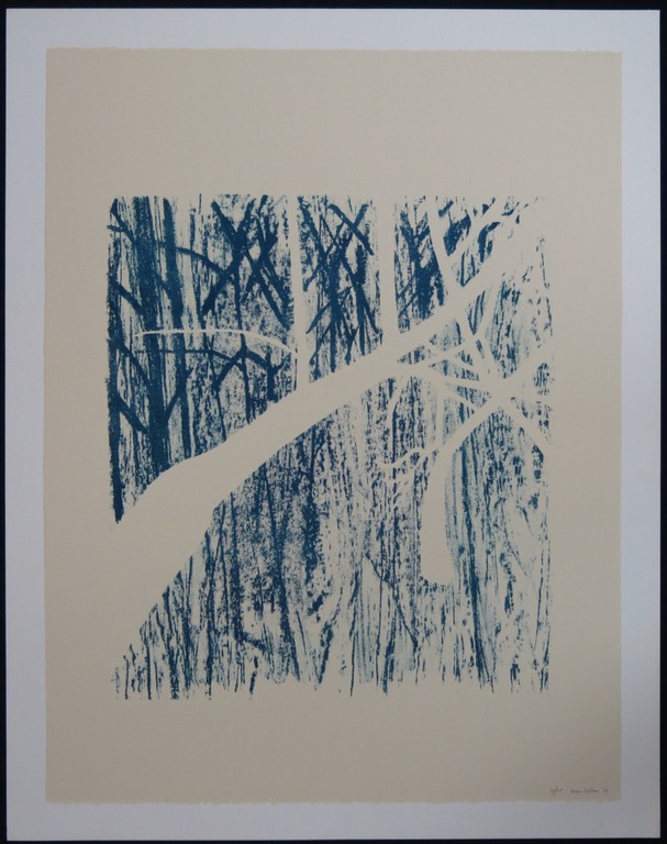 Dorian Hiethaar: Litho, Blauw bos kopen? Bied vanaf 1!