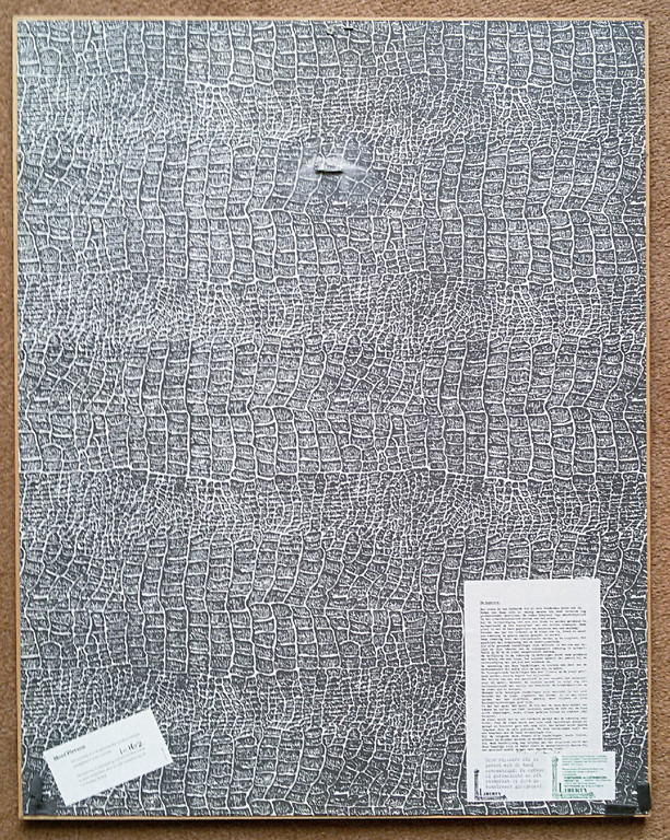 Arja van der Berg - Roos, aquatint ets (prachtig ingelijst) kopen? Bied vanaf 1!
