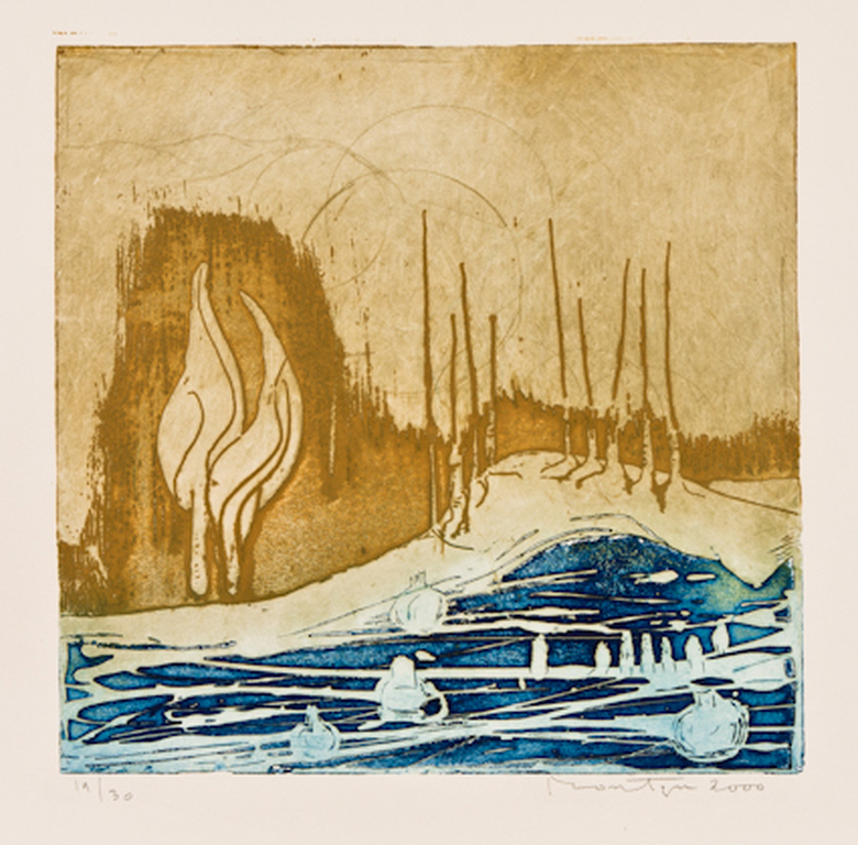 Jan Montyn: schitterende kleurenets uit de serie "Het gedroomde land" kopen? Bied vanaf 149!