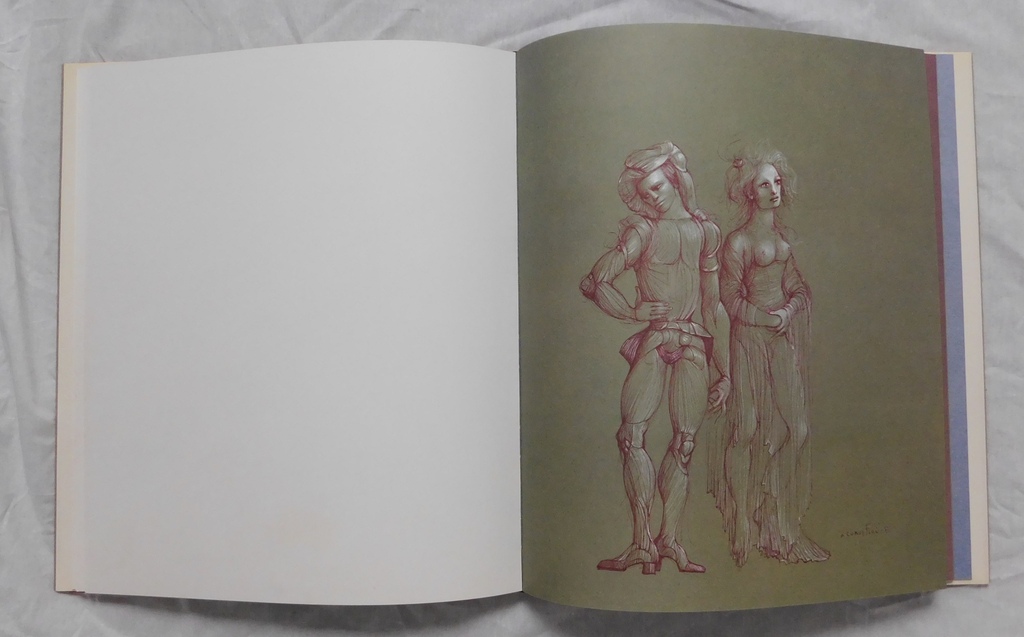 Leonor Fini - Boek Fruits de La Passion - 1980 kopen? Bied vanaf 40!