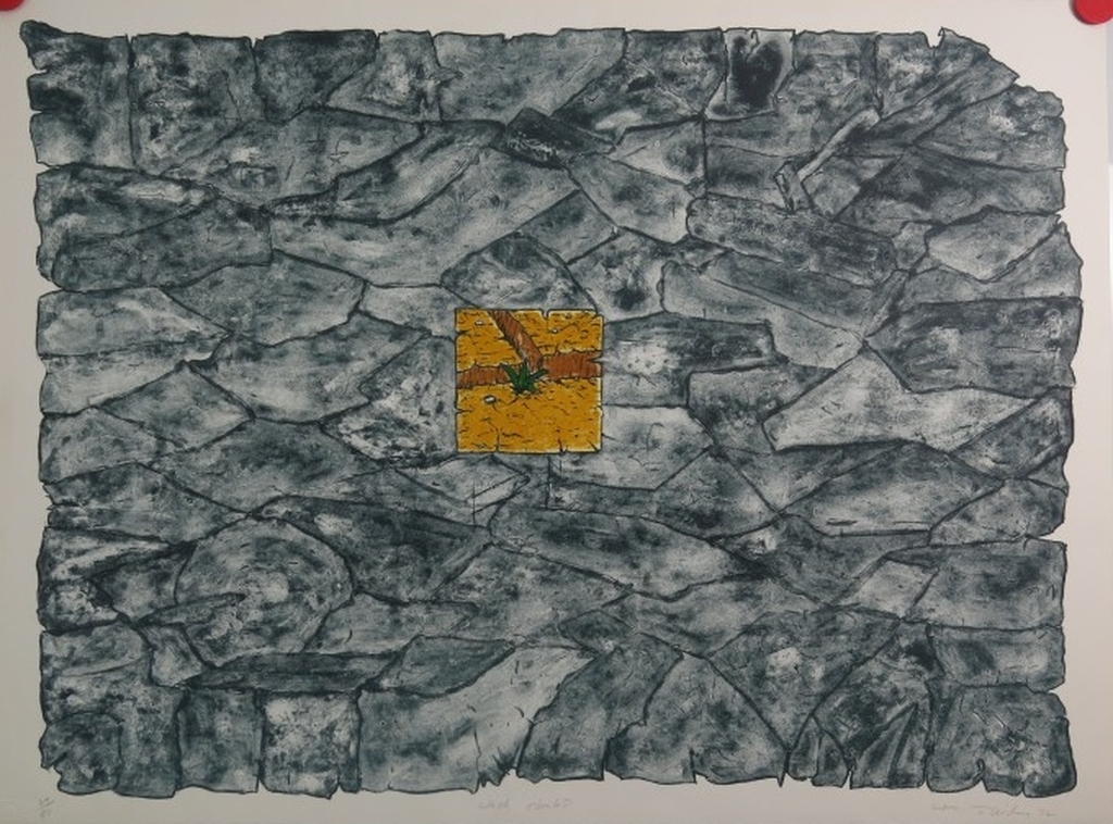 WIlliam T. Wiley: Lithografie, Wash Doubt.  kopen? Bied vanaf 1!