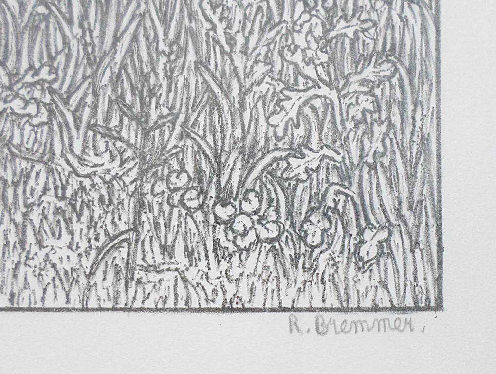 Rudolf Bremmer - Landelijk hoekje, litho (ingelijst) kopen? Bied vanaf 1!