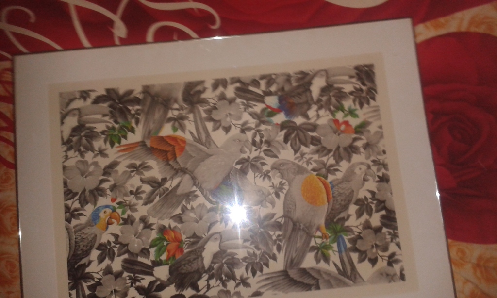 Een mooie zeefafdruk van papagaaien kopen? Bied vanaf 150!