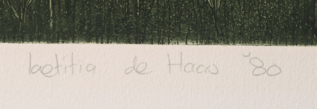 Laetitia de Haas: Ets en aquatint, Vreeland kopen? Bied vanaf 20!