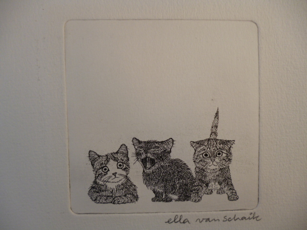 Ella van Schaik - ets - Drie kittens kopen? Bied vanaf 15!