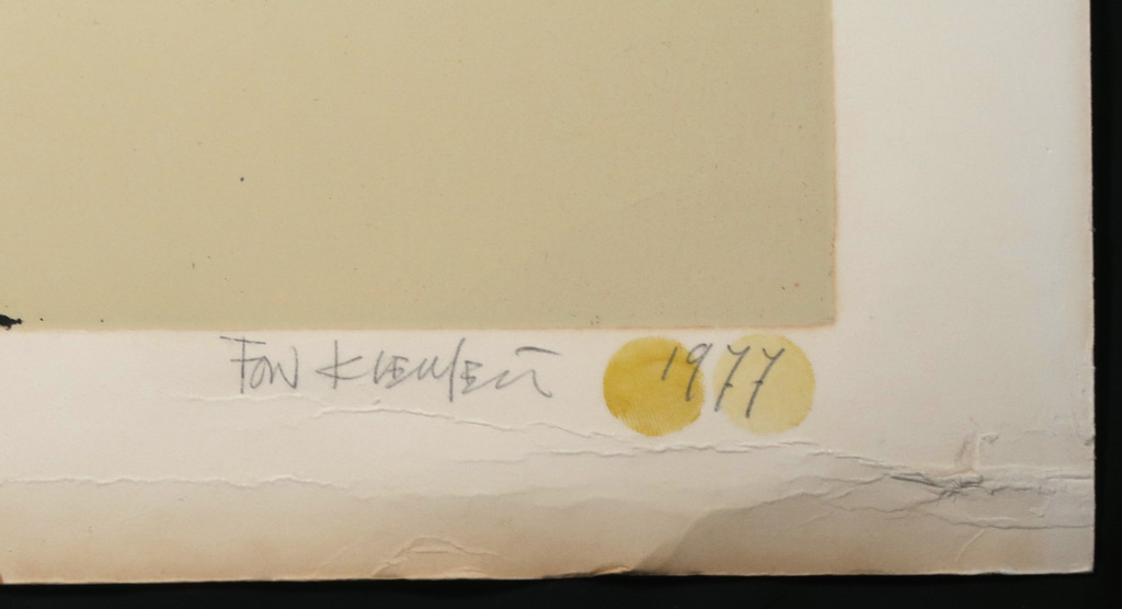 Fon Klement: Boardsnede, Disfonetion (Groot) kopen? Bied vanaf 1!