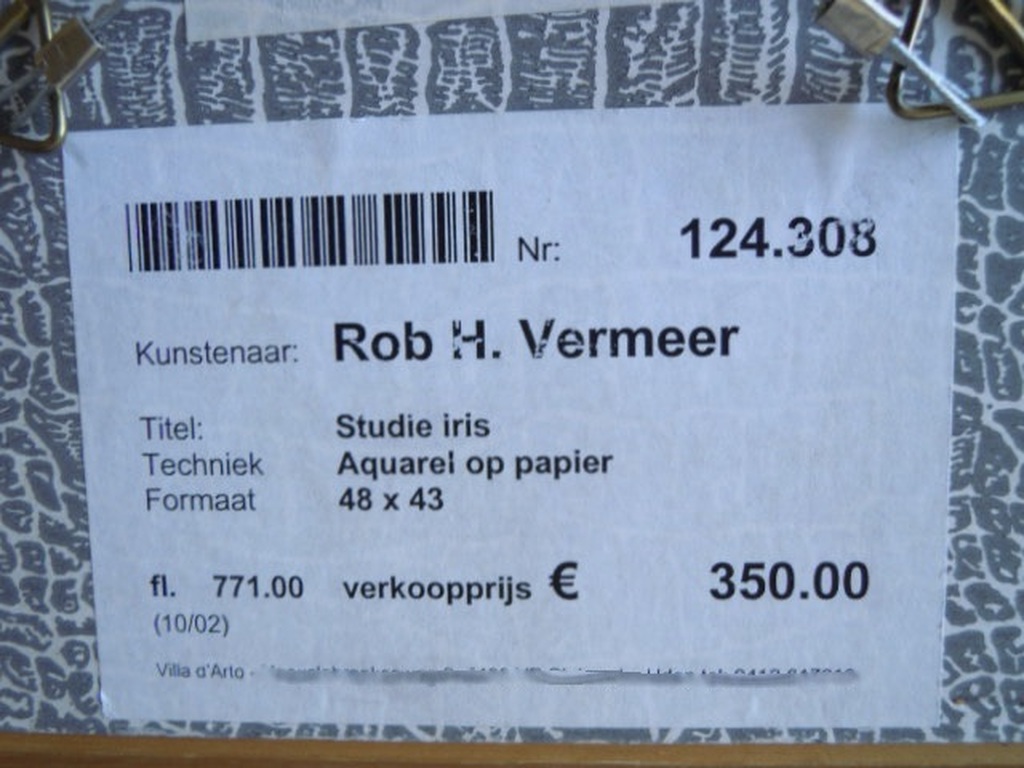 Aquarel Rob H.Vermeer 1937 - Studie Iris - 49 X 43 cm.   kopen? Bied vanaf 45!