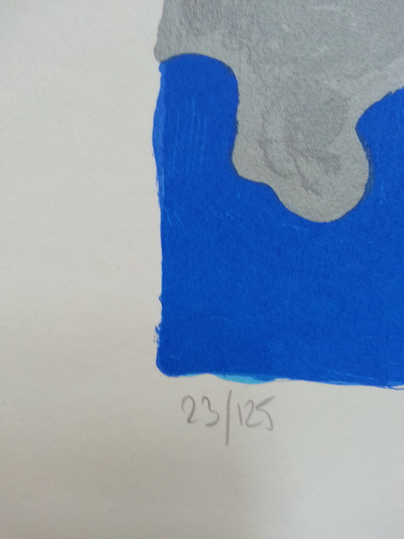 Ronald Boonacker, zeefdruk op papier, Titel;  kopen? Bied vanaf 50!