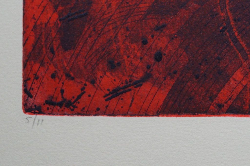 Mark Visione - gesigneerde ets - tierra del fuego kopen? Bied vanaf 25!