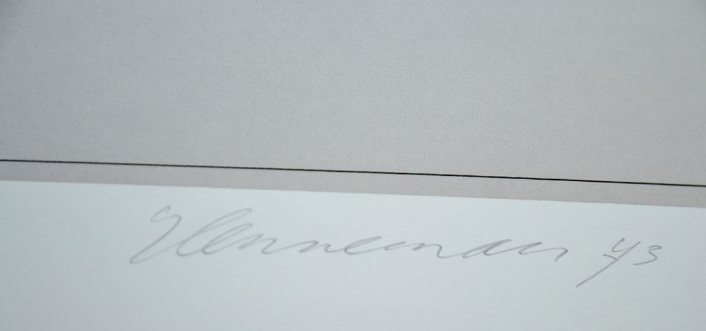 Jeroen Henneman: Zeefdruk Zaklamp & Lichtbundel, 1973 kopen? Bied vanaf 125!