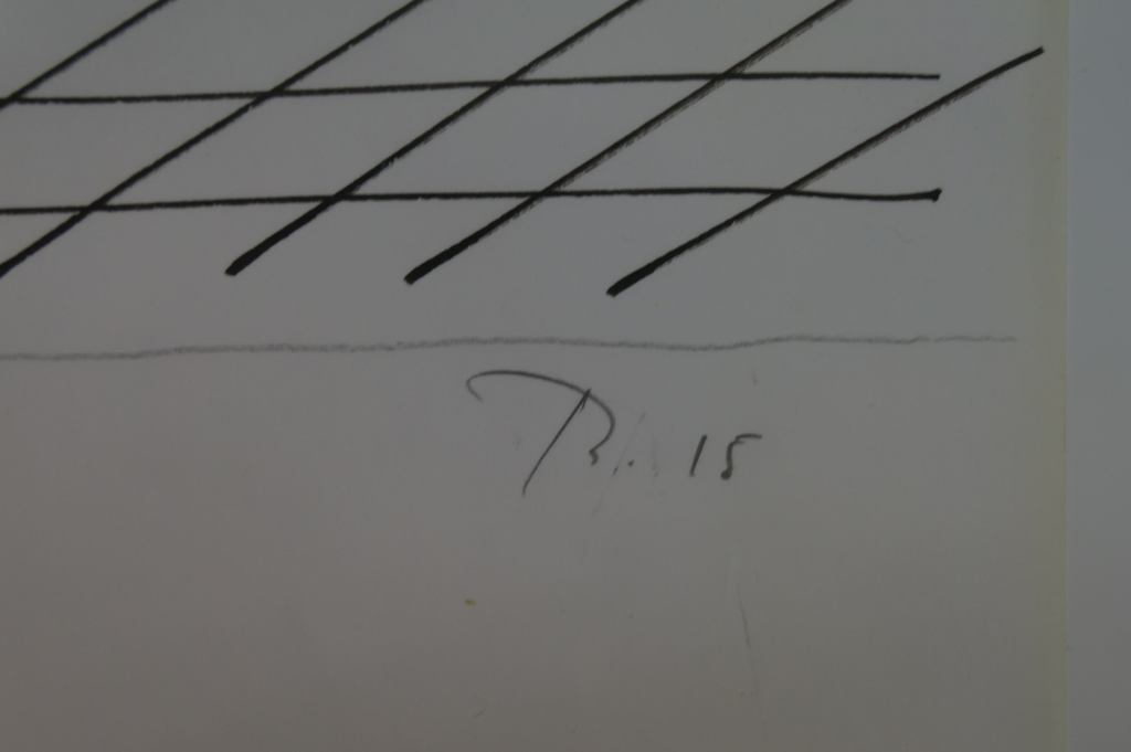 HIV Ontrafelen veiling: Benoit Van Innis: Chinese inkt op papier: Chaos kopen? Bied vanaf 800!