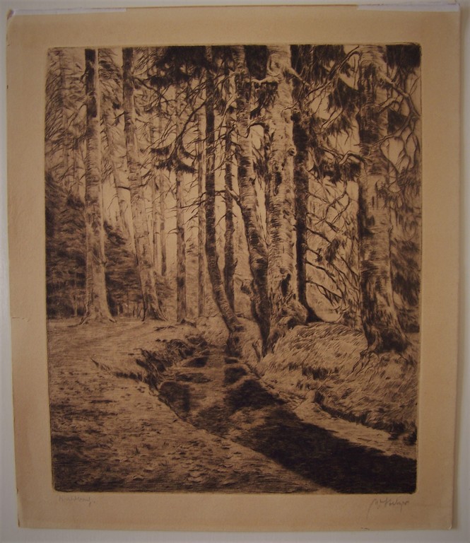 Willy Stelzer - WILLY STELZER (1883-1953) - ets - "Waldbach" - Hansigneerd kopen? Bied vanaf 10!