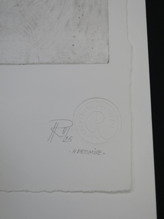 Ron Rooymans: Ets, A Promise kopen? Bied vanaf 20!