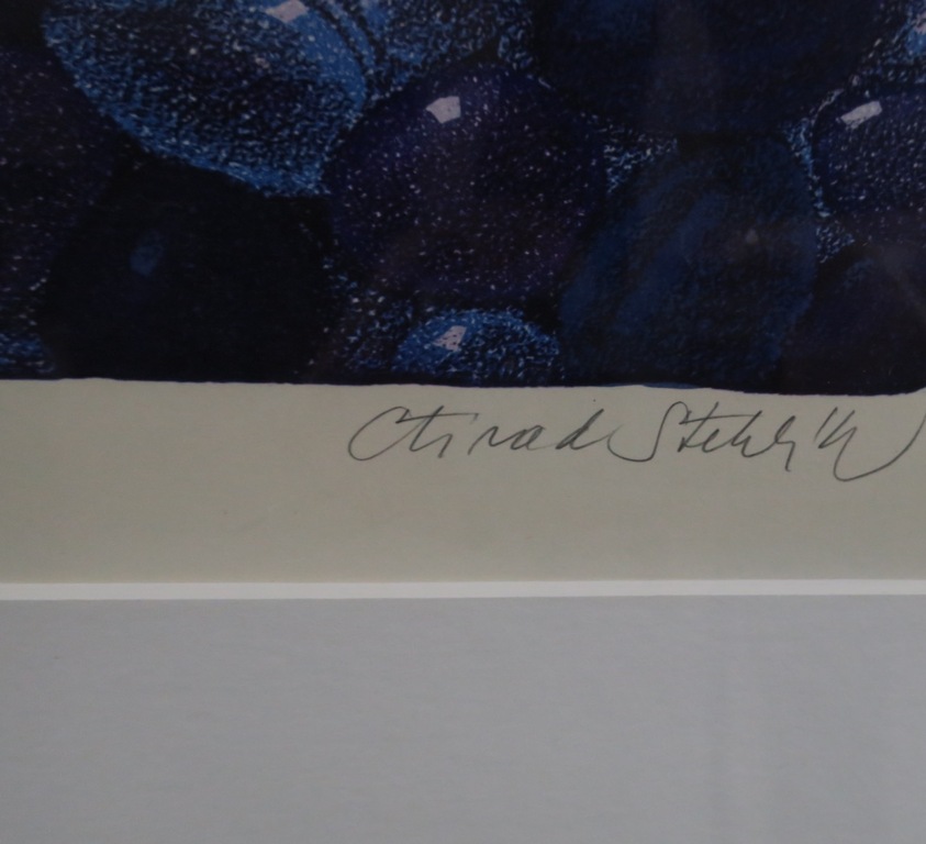 Ctirad Stehlik: Litho, Pruimen - Ingelijst kopen? Bied vanaf 35!