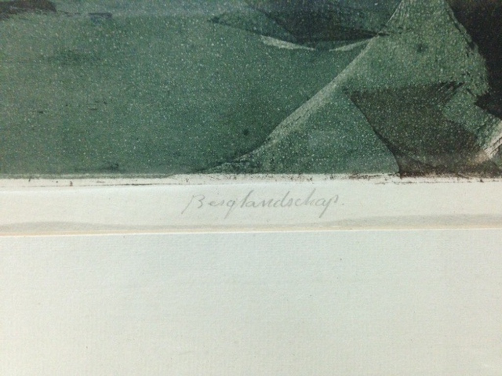 Prachtige kleurenets nr. 6/7- in lijst van 60 x 50 cm = hand gesigneerd  kopen? Bied vanaf 10!