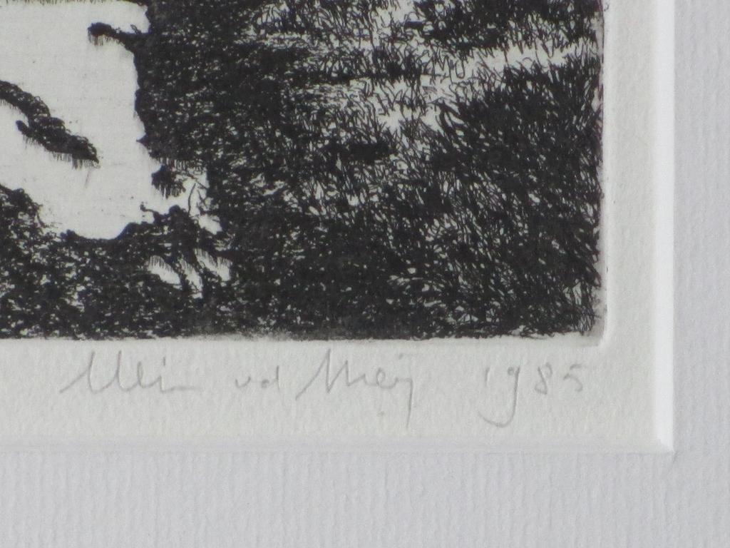 Wim van der Meij, Plassen, Ets kopen? Bied vanaf 1!