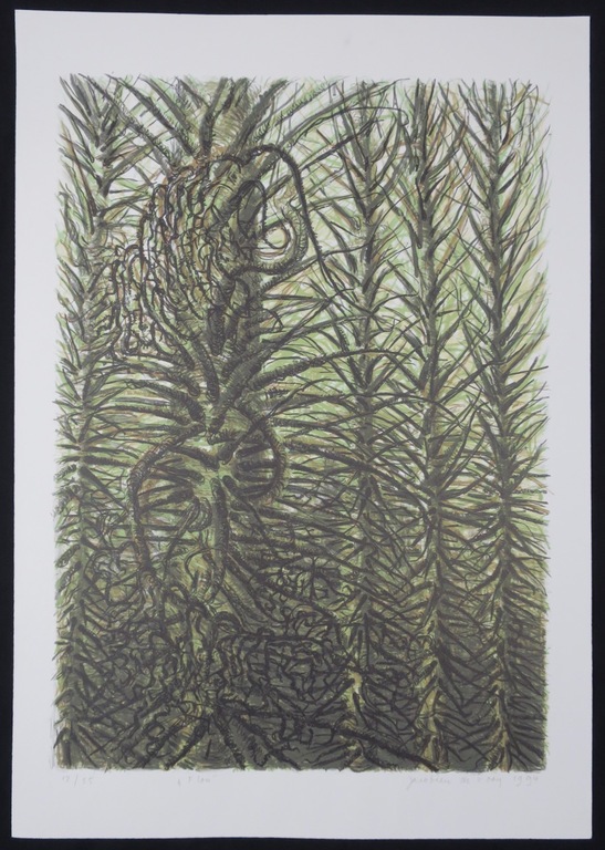 Jacobien de Rooij: Litho, Flou kopen? Bied vanaf 1!