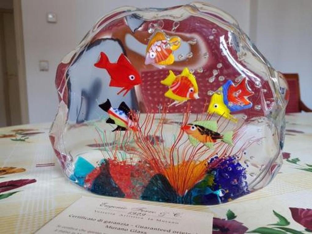 Murano aquarium-Master Eugenio Ferro-Design F.Ragazzi Isola di Murano Venezia kopen? Bied vanaf 199!