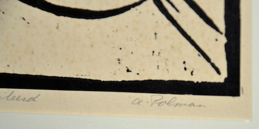 A. Polman: Lino Maanvis kopen? Bied vanaf 1!