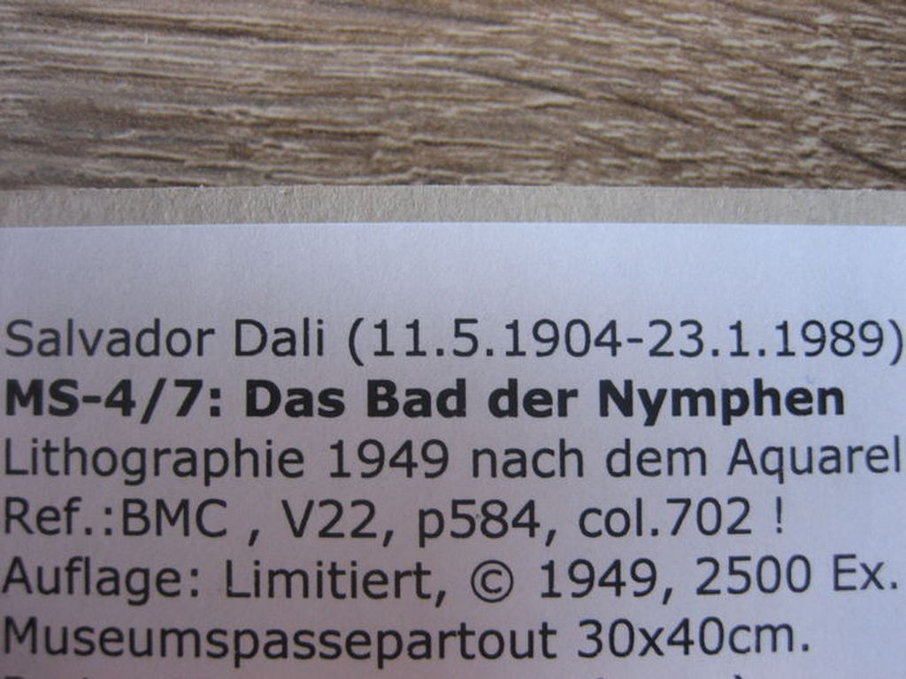 Salvador Dalí - La maison sans vent - Bath of the Nymphs - Lithografie - 1949 kopen? Bied vanaf 1!