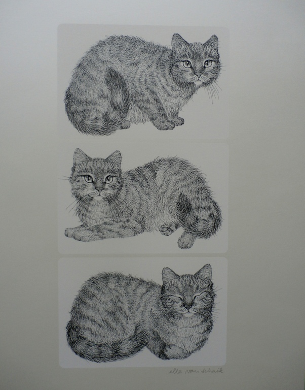 Ella van Schaik - zeefdruk: poes (3 afbeeldingen) verkocht voor € 45!