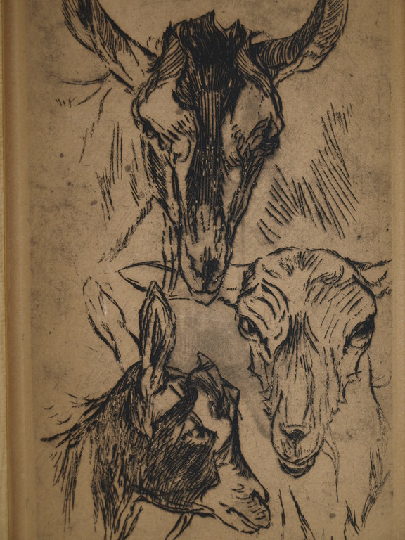WILLEM VAN DER NAT (1864-1929) – Ets - Geiten - ca. 1900 kopen? Bied vanaf 1!