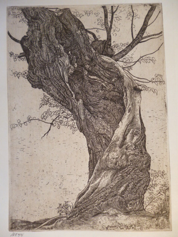 Pieter Dupont - ets - Wilg verkocht voor € 70!