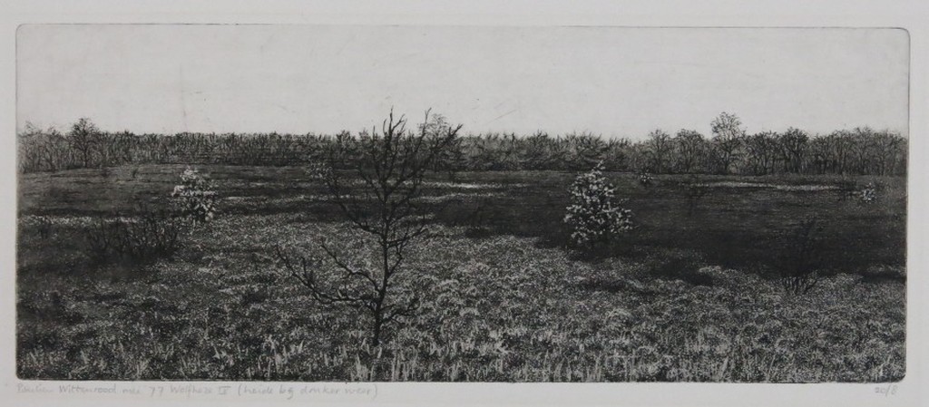 Paulien Wittenrood: Ets, Wolfheze IV (heide bij donker weer) kopen? Bied vanaf 20!